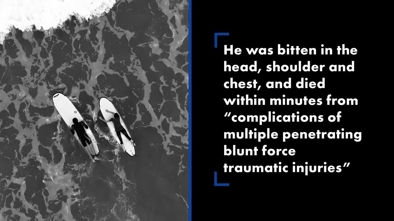 Reports confirm great white shark killed California bodyboarder
