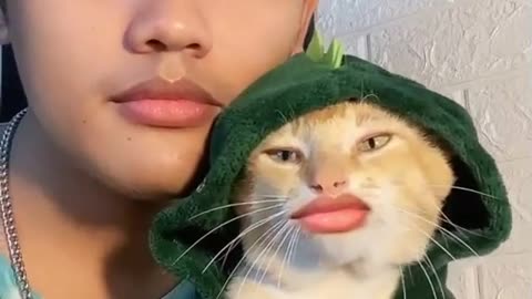 singing with the cat