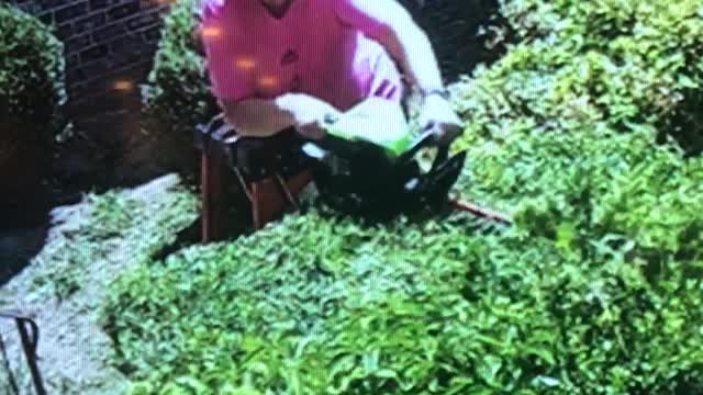 Snake Bites Woman as She Trims Shrubs