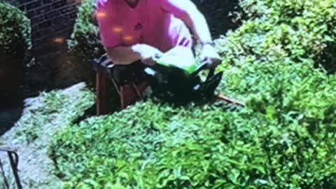 Snake Bites Woman as She Trims Shrubs
