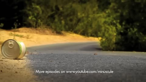 Minuscule - Compilation #3