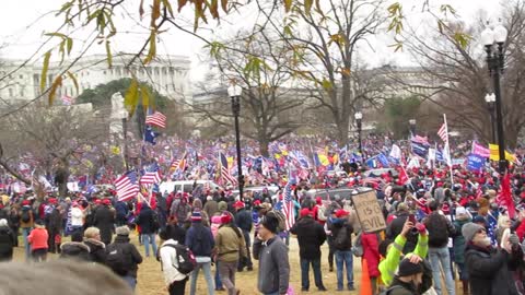 DC Rally Jan 6, 2021 - Marching with The Big Flag