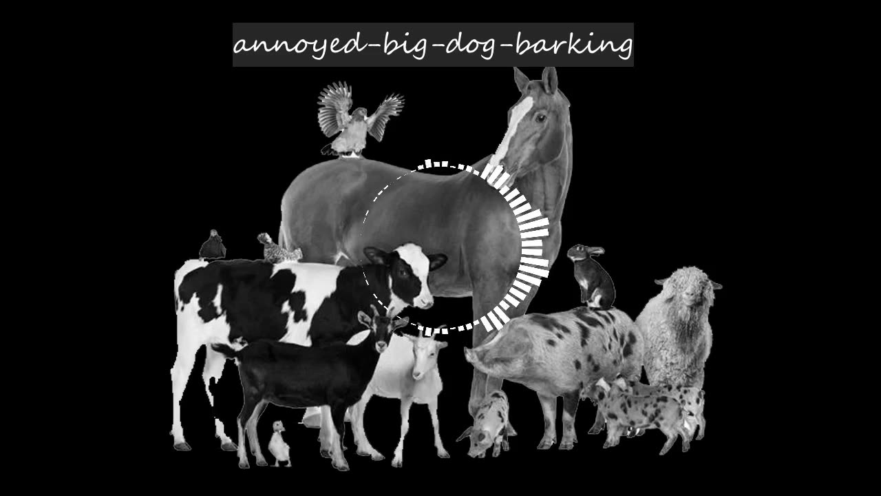 [FREE SOUND EFFECTS] - annoyed big dog barking