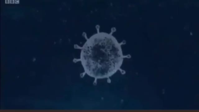 BBC最新報導,病毒專家解釋疫苗的組成。那個红色部分就是愛滋病毒蛋白!