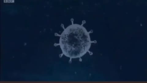 BBC最新報導，病毒專家解釋疫苗的組成。那個红色部分就是愛滋病毒蛋白！