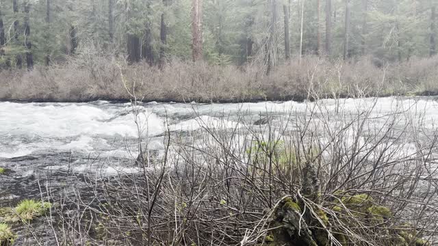 The "Backyard" Sitting Area of Campsite #6 – Candle Campground – Metolius River – 4K