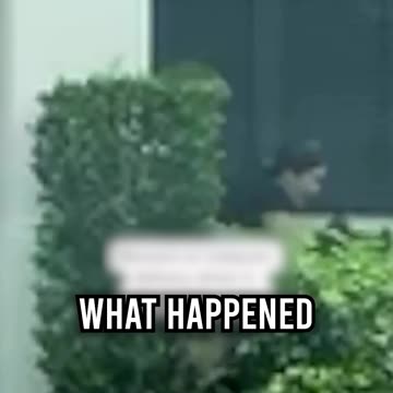 German Shepherd ATTACKS Instacart Driver