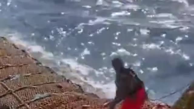 Amazing Big Catch Fishing Squid on the Sea - Fishing Squid with Hook