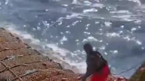 Amazing Big Catch Fishing Squid on the Sea - Fishing Squid with Hook