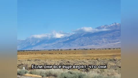 Разоблачение фасада: стихи Далет о лицемерии и трезвом уме - Псалмы 119:25-32◇12/12/24🙏