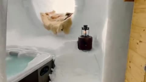 Will you sleep in there?