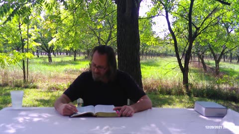 The revelation 2021 p3