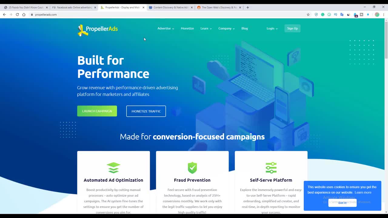 Adsense Earning Proof - My Biggest Month So Far With Adsense - 2020