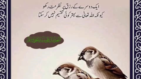 SAYINGS OF HOLY PROPHET MUHAMMADﷺ - حدیث نبویﷺ - Hadis-e-Nabviﷺ