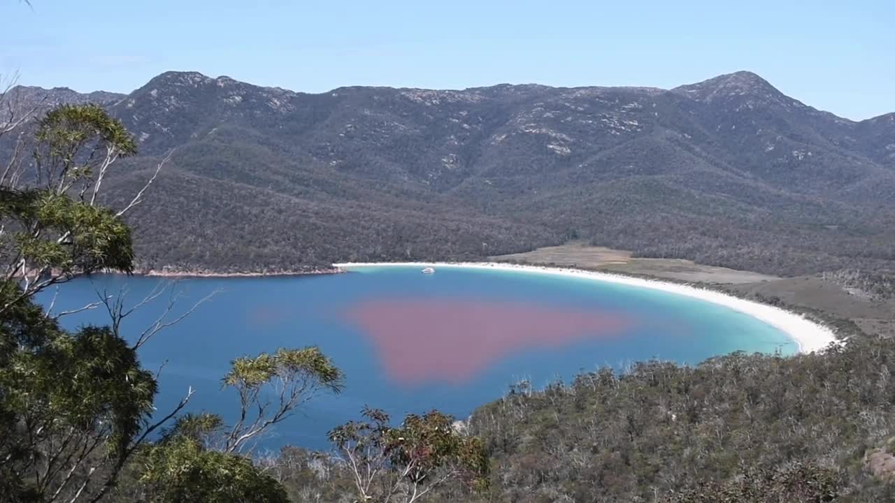 A Nature Lover's Dream : Tasmania