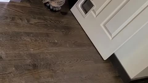 The strange duo