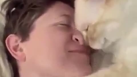 The cat expresses its love.
