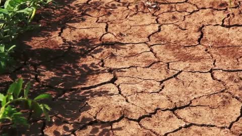 Bande annonce - Vers un climat artificiel