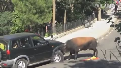 Ultimate Funniest Animals Compilation 2023 😂🤣 | Cats, Dogs & More #short