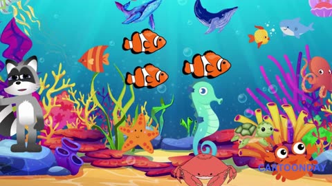 Animated Cartoons Wild Wonders