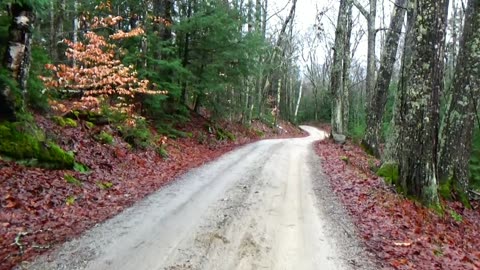 Country Roads