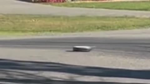 A Roomba Made a Run for It After Temporarily Gaining Freedom Following NorCal Earthquake