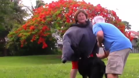 How To Make Dog Become Aggressive Instantly With Few Simple Tricks!!!