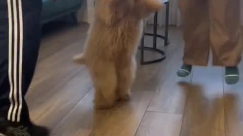 Dance like nobody's watching..🐕🐾😍