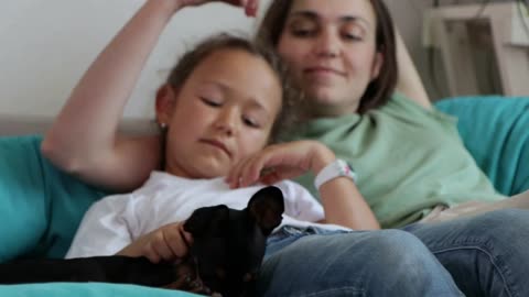 Portrait of black toy terrier with owners at home