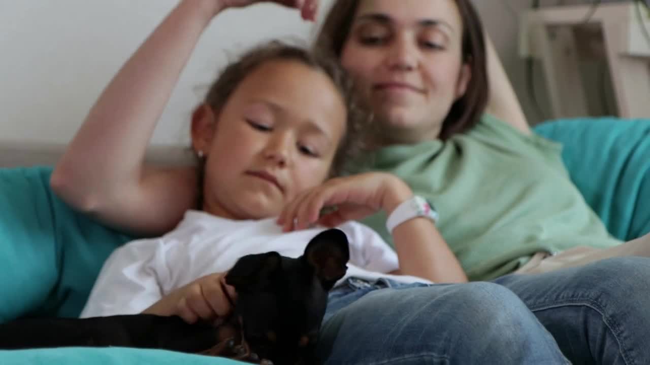 Portrait of black toy terrier with owners at home