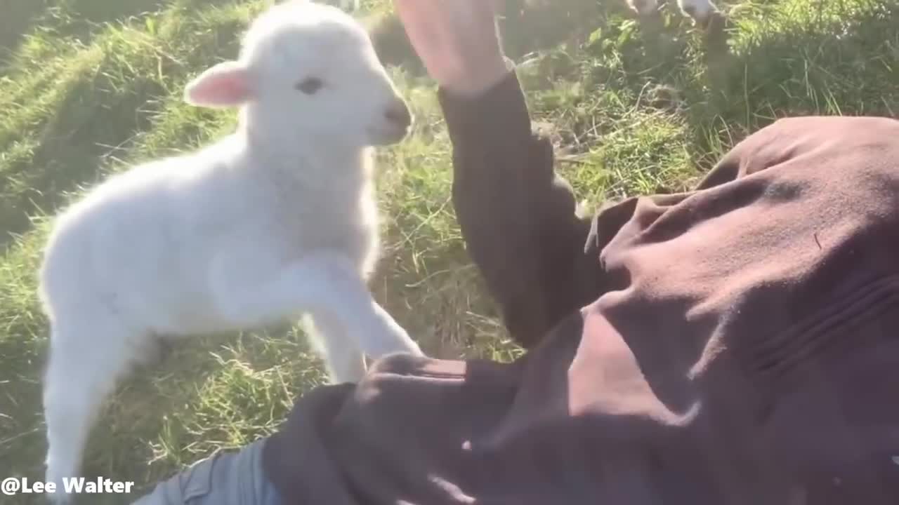 Moments you won't believe were caughT on Camera