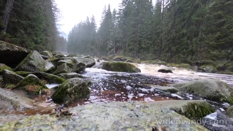 RIVER STREAM