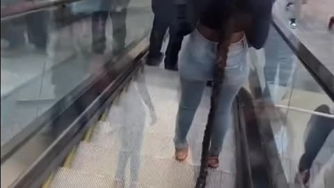 Longest hair in the world