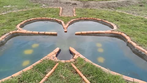 Build a pond with a butterfly shape to feed the fish