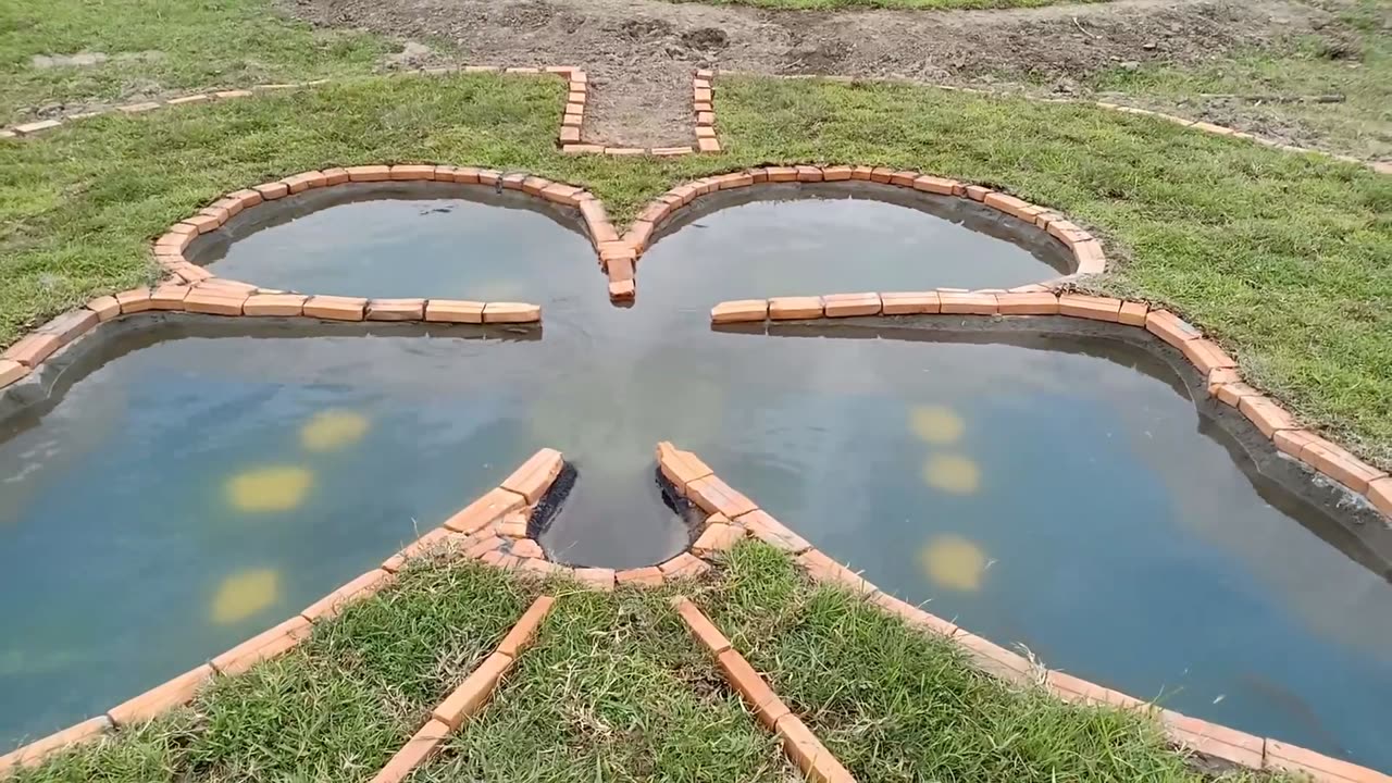 Build a pond with a butterfly shape to feed the fish
