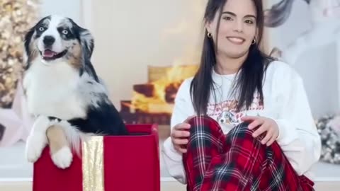 dogs are best friends