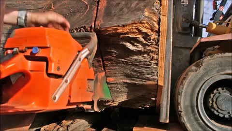 World's Biggest Chainsaw vs Ancient Salvaged Redwood