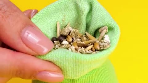 What to do when you are at home with your pet 🐶 | tricks for pet owners: