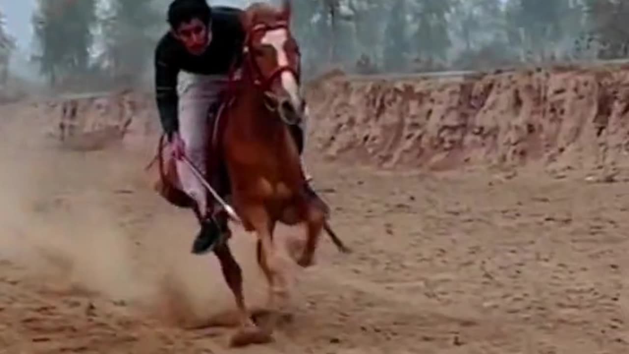 My Big Brother Horse Ride 🐴