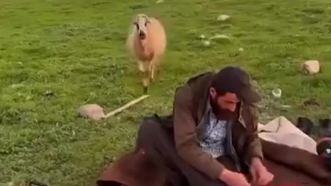 First Day At Farm Funny Video For You Be Carefull of this animals