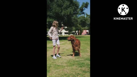 #Cute dog