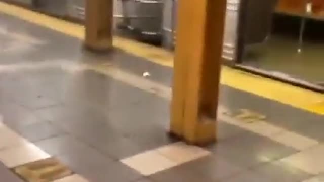 BREAKING: 13 Shot In Brooklyn Subway Station