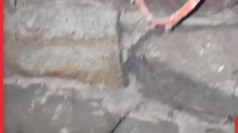 Man Finds Hidden Trap Door Below His Bathroom 😬