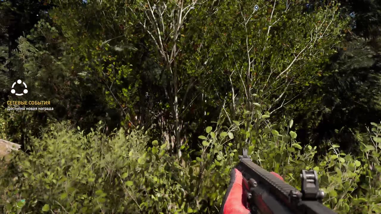 This can only happen in Far cry 5