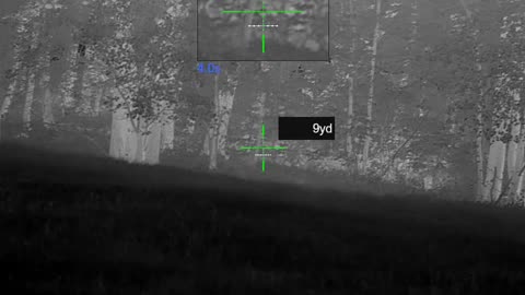 .300 BO miss (calculator error) on 9 yard coyote