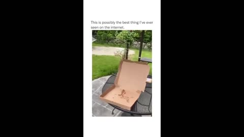 Try Not to LAUGH 🤣 Challenge Random memes 148