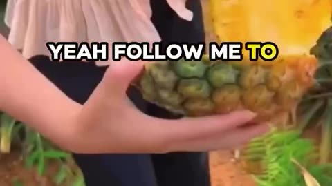 Pineapple-Super Food- Even Dissolves Brusing Fast