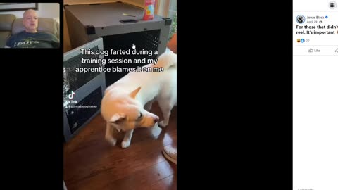 Jonas Black - Balanced Dog Trainers use the same Bribery based Play Book as Force Free Trainers
