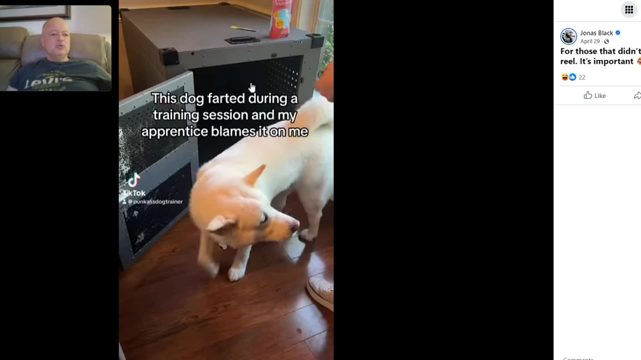 Jonas Black - Balanced Dog Trainers use the same Bribery based Play Book as Force Free Trainers