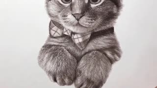 Freehand Drawing #Cute Cat #Pencil Drawing